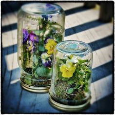 two glass jars filled with flowers on top of a table