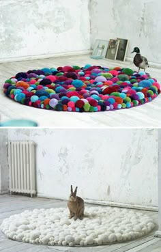 a cat sitting on top of a rug next to an image of a bird standing on the floor