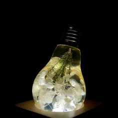 a light bulb filled with ice and plants in it's base, sitting on a wooden table