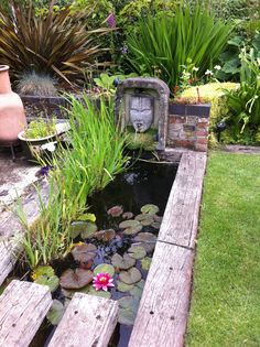 a small pond in the middle of a garden