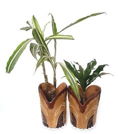 two planters with plants in them sitting next to each other on a white surface