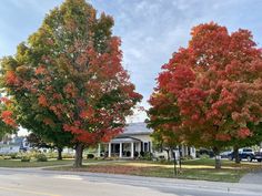 two trees in front of a house with red and yellow leaves