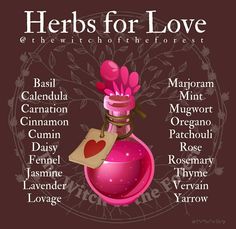 Herbs For Communication, Communication Spells, Herbs For Love, Mexican Magic, Herbs Witchcraft, Herbs For Protection, Essential Oil Aphrodisiac, Magick Oil, Herbal Witch