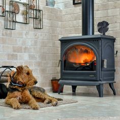 a dog laying on the floor in front of an open fire place