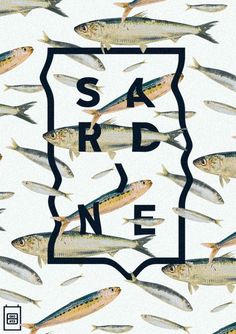 a group of fish swimming in the ocean under a sign that says sard ne