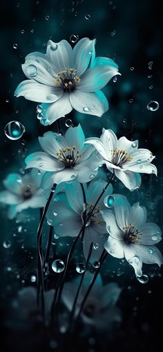 some white flowers with water droplets on them and the words, i love this photo