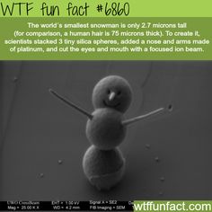 The World’s smallest snowman - WTF fun fact Tiny Snowman, Small Snowman, Online Comics, Wow Facts, Greatest Mysteries, E Mc2, Random Facts, Science Facts, The More You Know