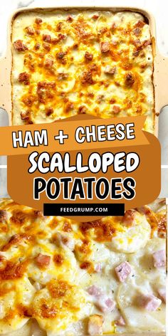 ham and cheese scalloped potatoes in a casserole dish with text overlay