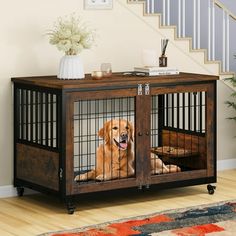 a dog is sitting in its cage on the floor next to stairs and a rug