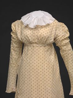 Apron-front Dress, c.1805-1810 Regency Printed Cotton, Regency Chemisette, 1840 Dress, 1810s Fashion, Regency Clothing, 1800's Dress