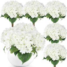 six white flowers in a vase with green leaves on the stems and one large flower