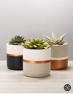 three pots with succulents in them on a table