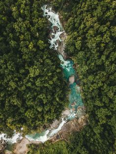 an aerial view of a river running through a forest