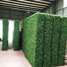 several large green hedges in a warehouse