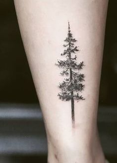 a small pine tree tattoo on the right side of the leg, it is black and white