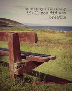 a wooden bench sitting on top of a lush green field