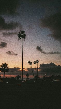 palm trees are silhouetted against the evening sky in this photo taken on an overcast day