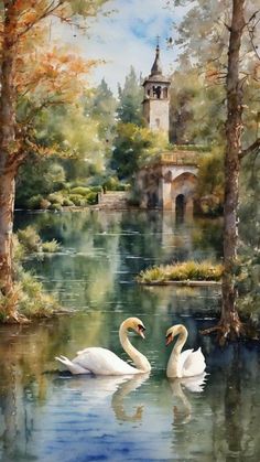 Beautiful Bird Drawing, Swan Art Painting, Swan Paintings, Swans Painting, Vintage Landscape Paintings, Lake Drawing, Swan Watercolor, Swan Art, Swan Painting