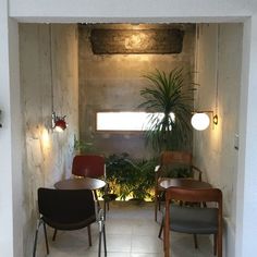 two chairs and a table in a small room with plants on the wall behind them