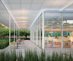 an outdoor dining area with tables and chairs under a white awning next to tall grass