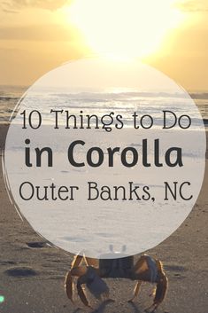 a crab on the beach with text overlay reading 10 things to do in corolla outer banks, nc