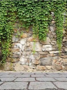 a stone wall with ivy growing on it and brick walkways in front of it