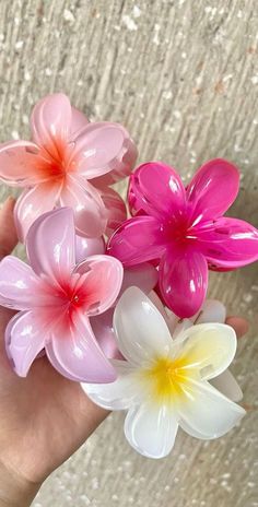 Floral Accessories Hair, Hair Accessories Clips, Hair Claws, Girly Accessories, Claw Clips, Flower Clip, Floral Hair, Flower Hair Clips, Hair Claws & Clips