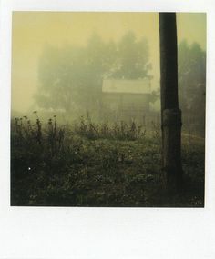 a foggy field with a house in the distance