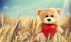 a teddy bear holding a red heart sitting in the middle of a field with words written on it