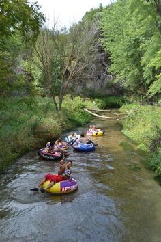 several people are tubling down a river in rafts and on the water with trees around them