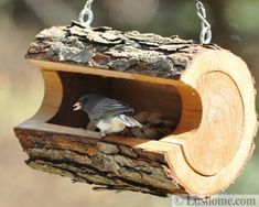 a bird sitting on top of a piece of wood hanging from a chains attached to it