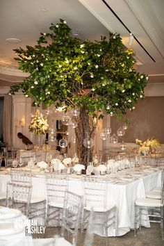 a tree is in the middle of a banquet table