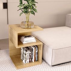 a small table with books and a plant on it in front of a white couch