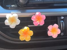 three flowers are placed on the dashboard of a car