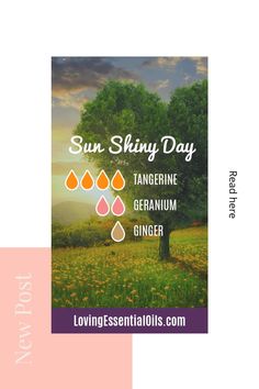 Sun Shiny Day Blend with Tangerine, Geranium, and Ginger by Loving Essential Oils and Jennifer Lane, Certified Aromatherapist Oil Diffuser Benefits, Diffuser Benefits, Essential Oils Diffuser, Ginger Essential Oil, Essential Oil Diffuser Recipes, Oil Diffuser Recipes