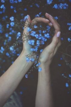 two hands are holding blue flowers in the dark