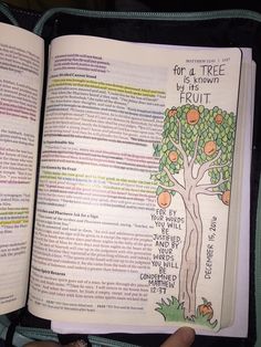 an open bible with fruit on it in someone's lap and their hand holding the book