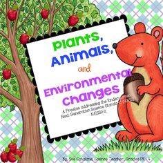 a poster with an image of a squirrel and the words freebie plants, animals, and environmental changes