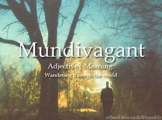 a man standing in front of a tree with the words mundivagant above it