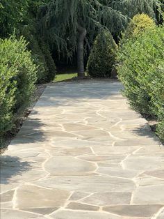 a stone walkway surrounded by trees and bushes