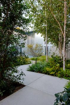 an outdoor walkway surrounded by trees and plants