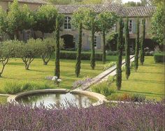 the garden is full of lavenders and trees