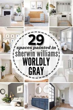 there are many pictures with the words 29 spaces painted in sherylin williams's worldly gray