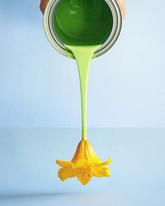 a person pouring green liquid onto a yellow flower