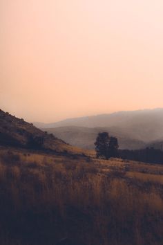 an empty field with mountains in the background