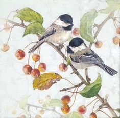 two birds sitting on top of a tree branch next to leaves and berries with white background