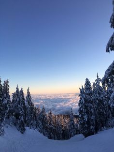 the sun is setting over some snow covered trees and clouds are visible in the distance