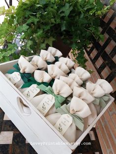 a box filled with lots of small white bow ties next to a potted plant