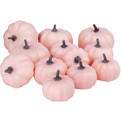 small pink pumpkins are arranged in a row on a white background with black stems