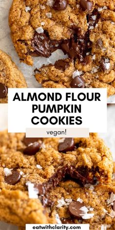 chocolate chip cookies with coconut flakes on top and the words, almond flour pumpkin cookies vegan